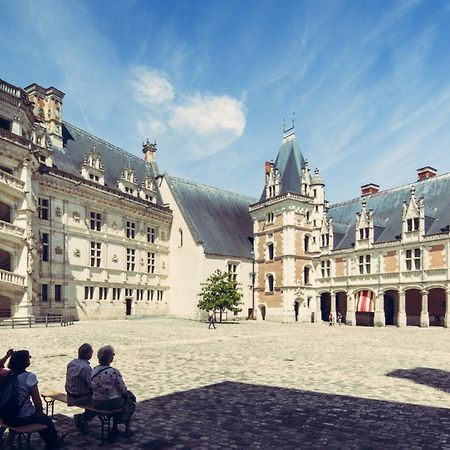 Gite De La Tour De Loire - 65 M2 Au Pied D'Une Tour De Gue Du 17Eme Siecle Mer Zewnętrze zdjęcie