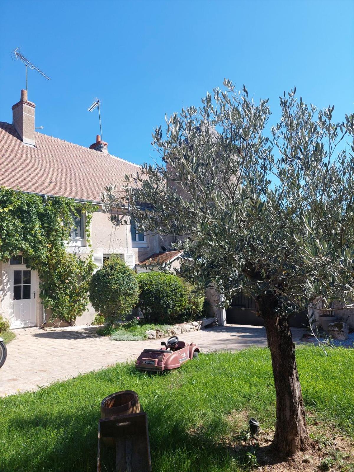 Gite De La Tour De Loire - 65 M2 Au Pied D'Une Tour De Gue Du 17Eme Siecle Mer Zewnętrze zdjęcie